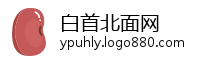 白首北面网